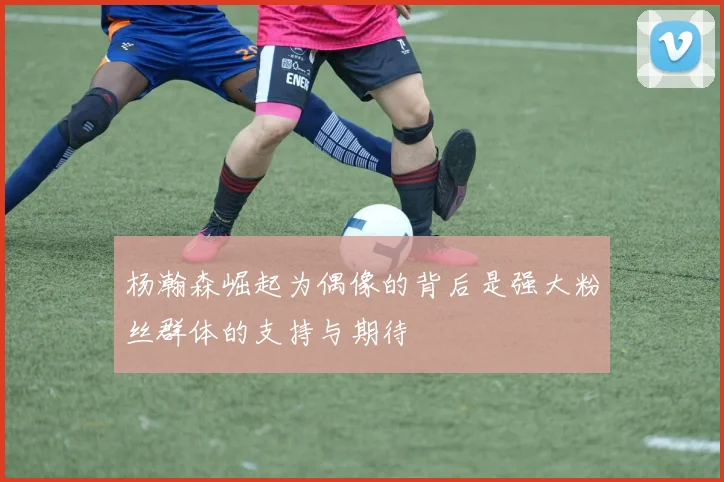 杨瀚森崛起为偶像的背后是强大粉丝群体的支持与期待