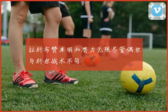 拉科布赞库明加潜力无限尽管偶尔与科尔战术不符